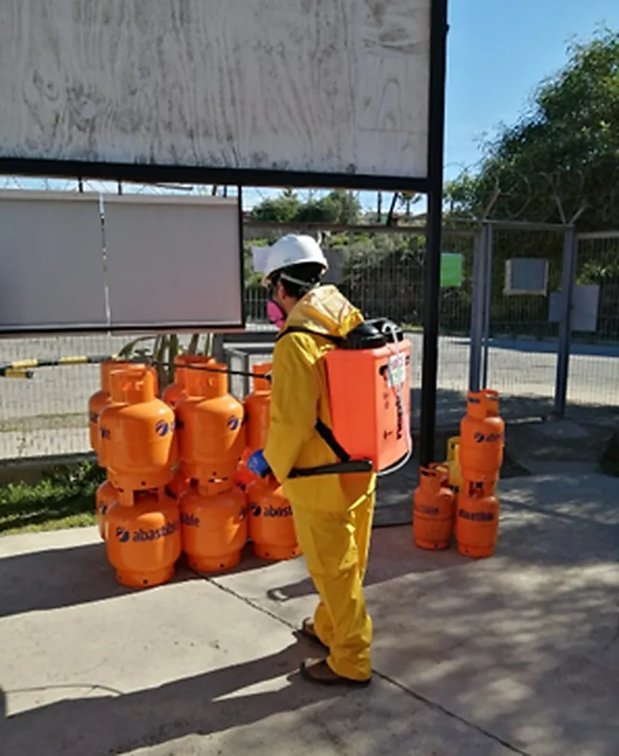 Desratización en terreno