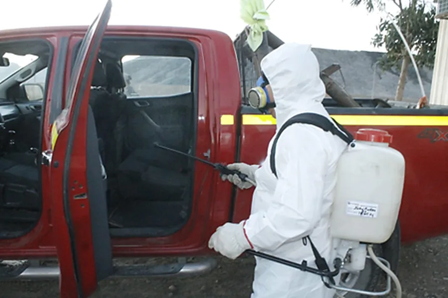 Desinsectación / fumigación